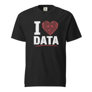I ❤️ DATA (red heart) Heavyweight Garment-Dyed T-Shirt